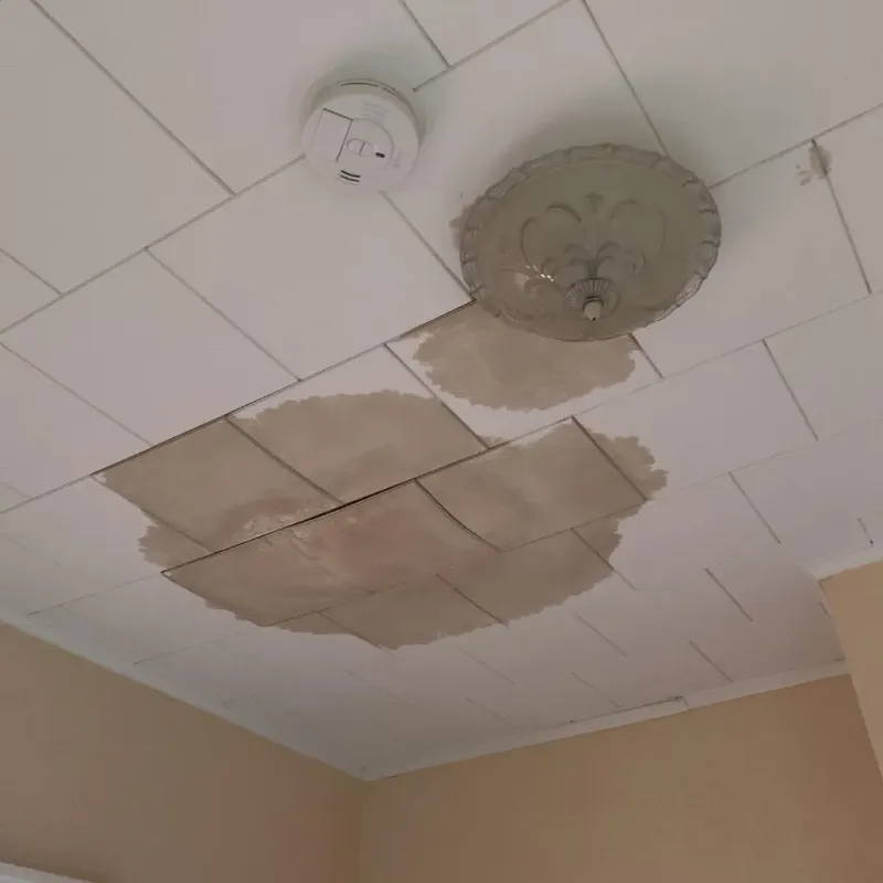 Ceiling Water Damage Repair in Hokes Bluff, AL