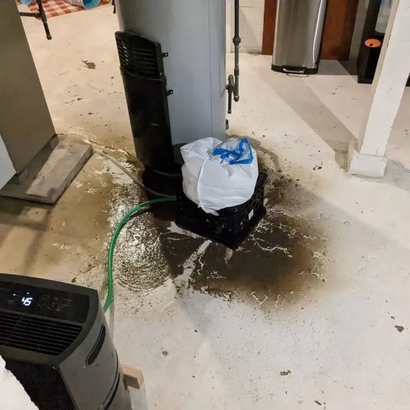 Sewage Backup Cleanup Service in Hokes Bluff, AL